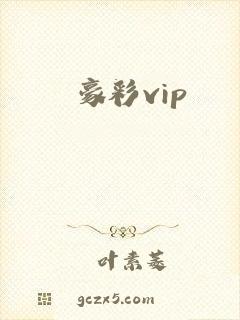 豪彩vip